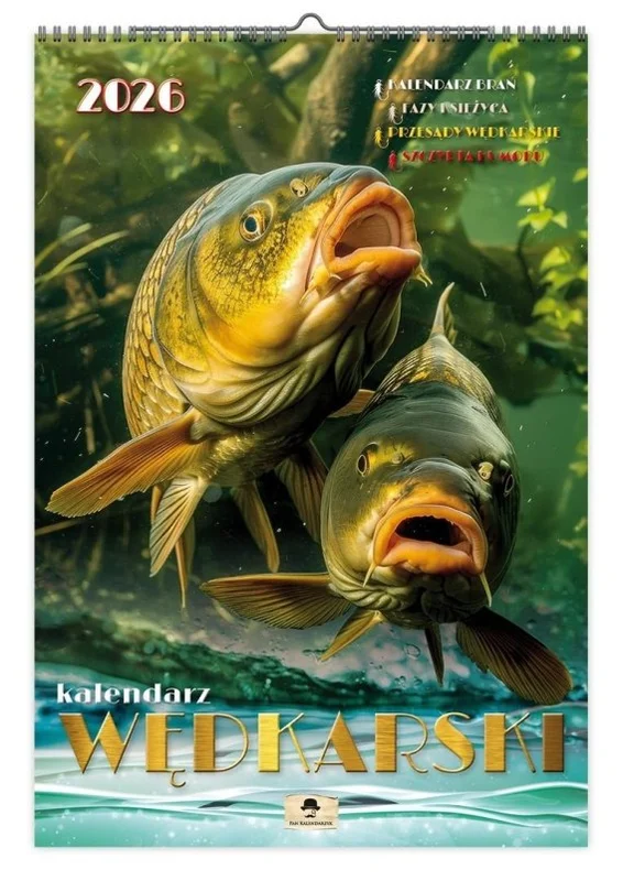 edukamp-32026061202402969067