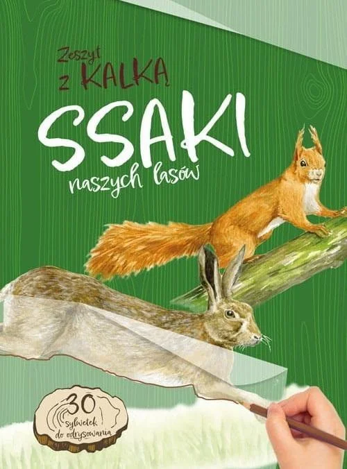 edukamp-32026061203341472831