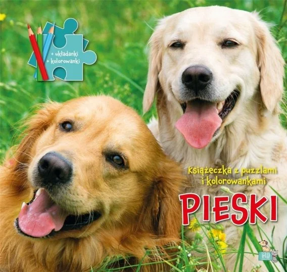 edukamp-32026061208374090435