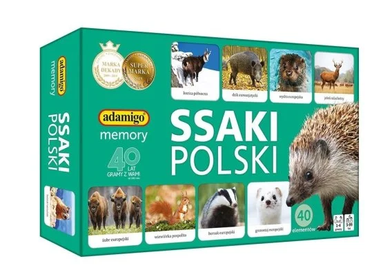 edukamp-32026061209530993723