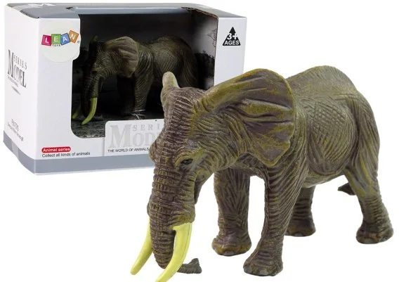 edukamp-320260612140012122145