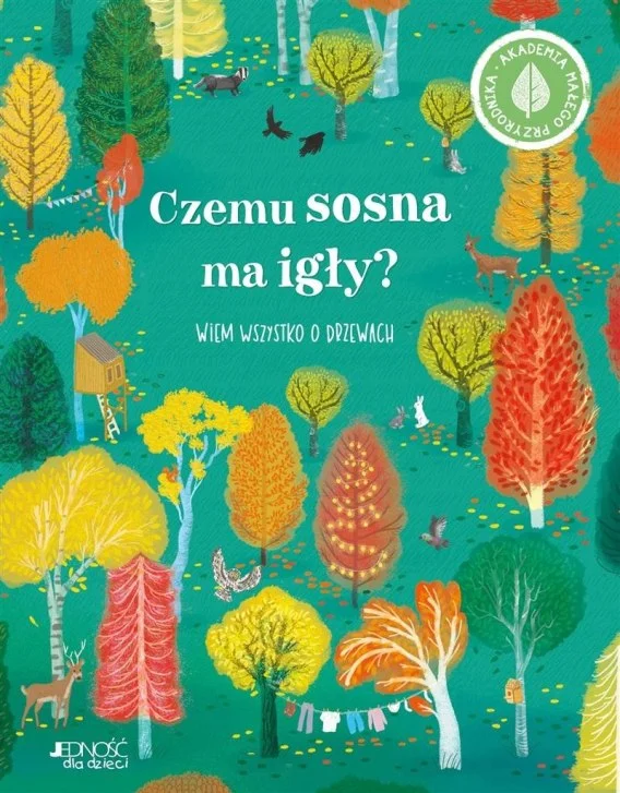 edukamp-320260612191549150812