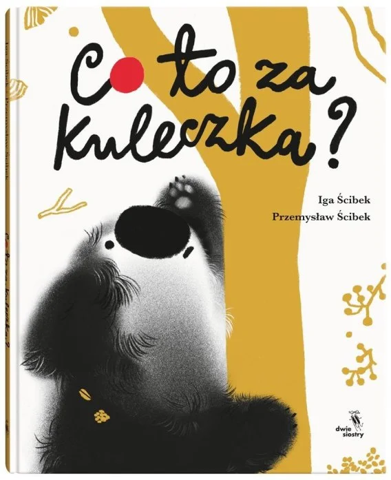 edukamp-320260612232511187086