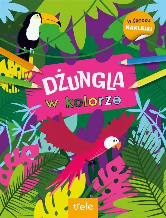 edukamp-4202606101149093543824