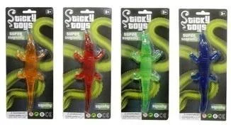 edukamp-4202606102009413623698