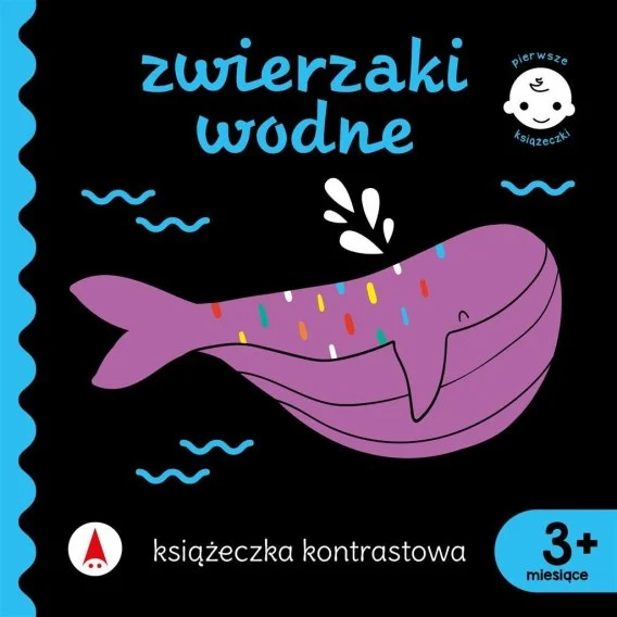 edukamp-4202606110201063645363