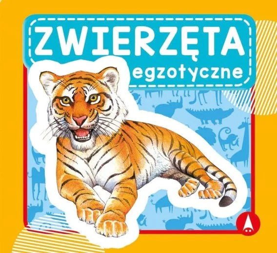 edukamp-4202606110518253657551