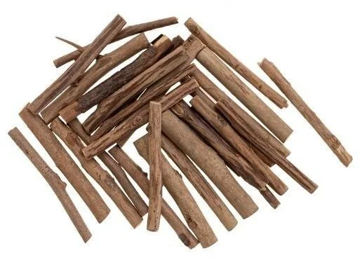 edukamp-4202606111048364231