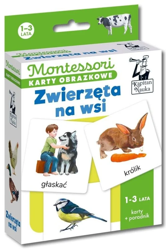 edukamp-42026061200514961081