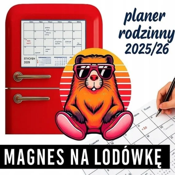 edukamp-42026061201202663147