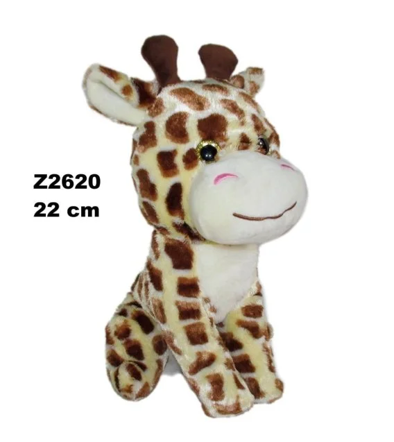 edukamp-42026061201372464422