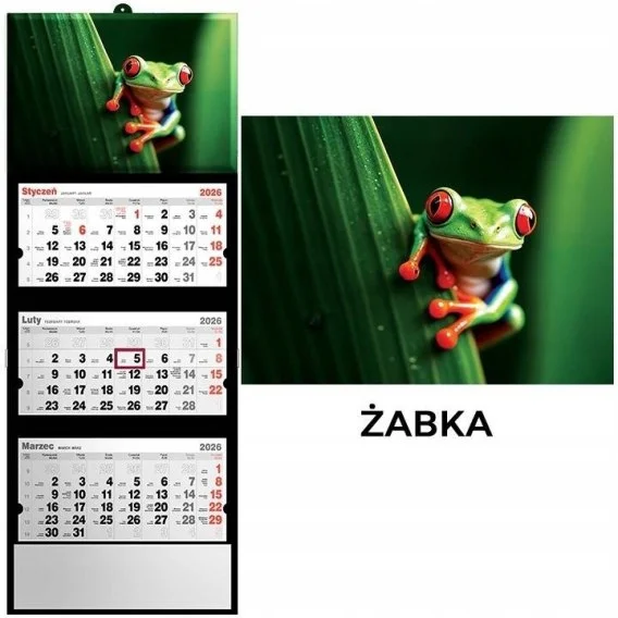 edukamp-42026061201463465142