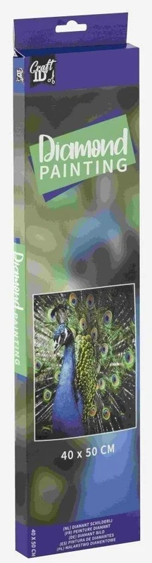 edukamp-42026061202010866307