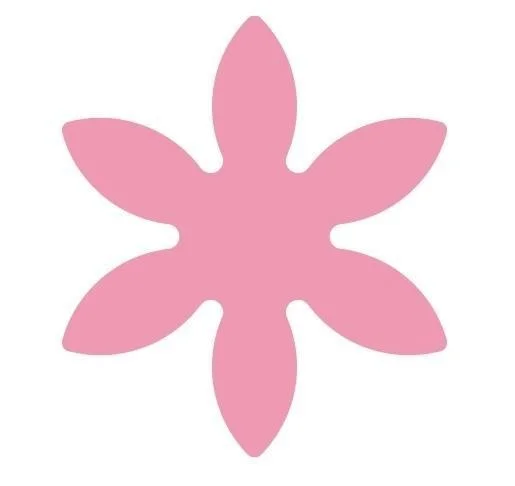 edukamp-42026061203120171282
