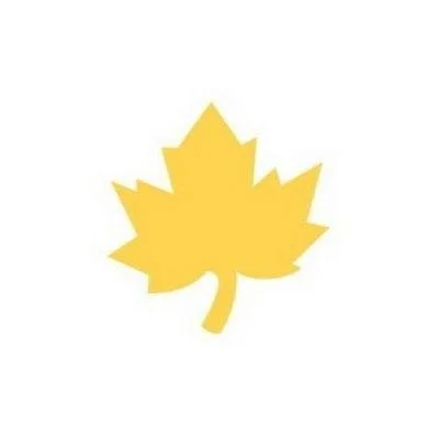 edukamp-42026061204400777624
