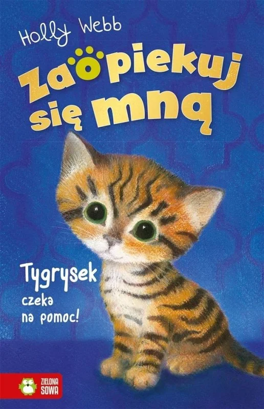 edukamp-42026061205093079792