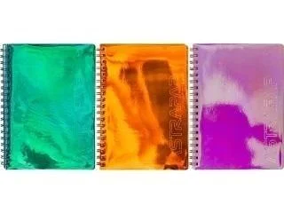 edukamp-42026061205132580098