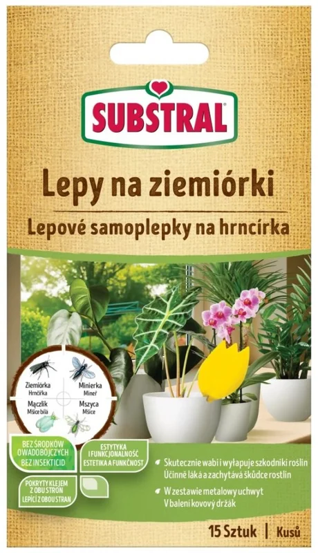 edukamp-42026061205541683099