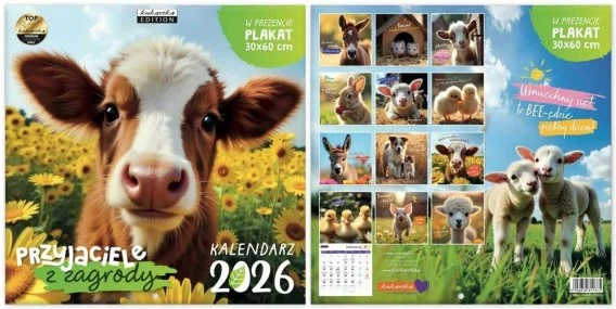 edukamp-42026061206254884813