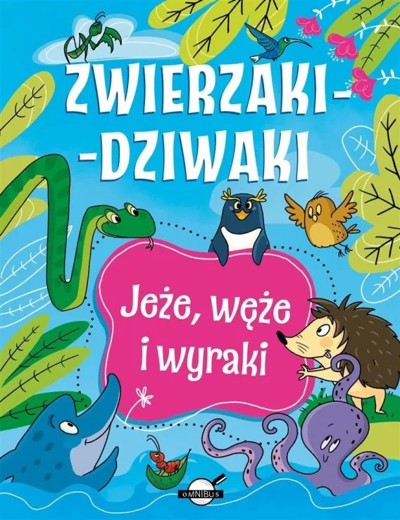 edukamp-420260612140851122625