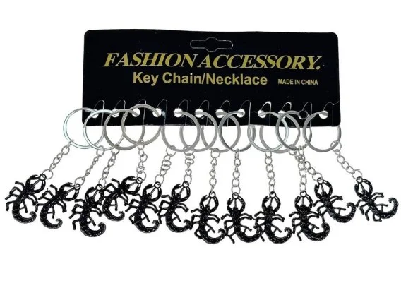 edukamp-420260613000833194100