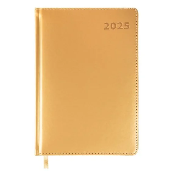 edukamp-420260613004932200989