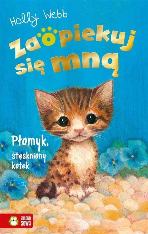 edukamp-420260613012337206153