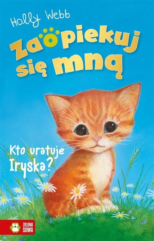 edukamp-420260613012412206228