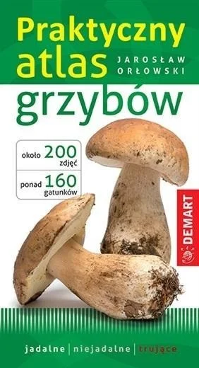 edukamp-420260613014324208166