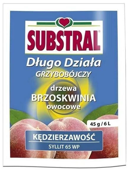 edukamp-420260613034908221390
