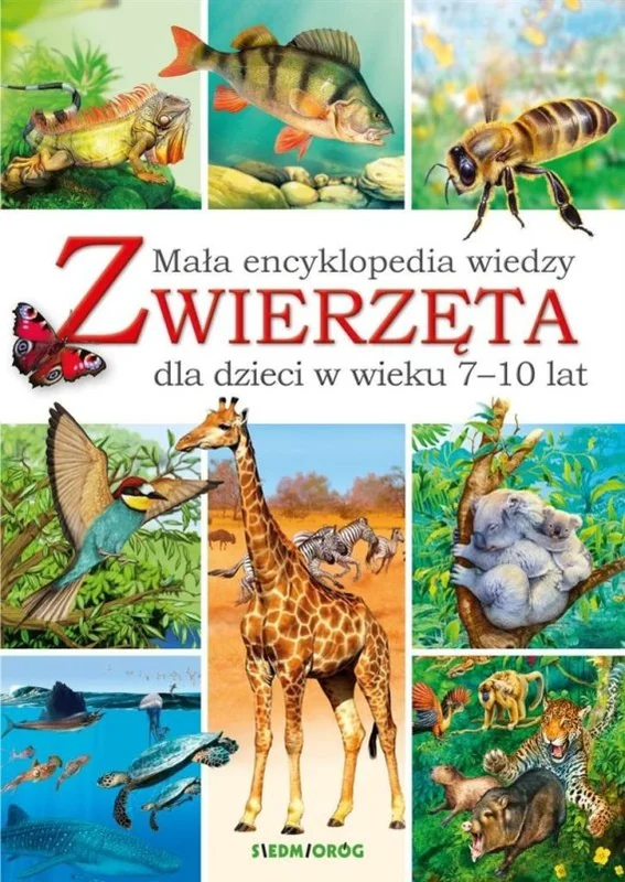 edukamp-420260613055704234008