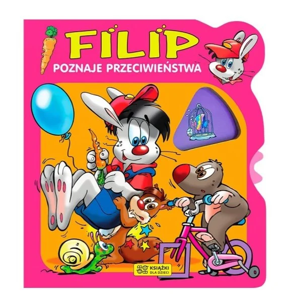 edukamp-420260613101954253260