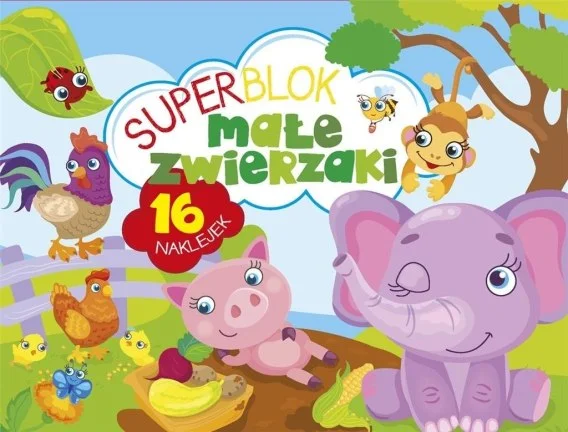 edukamp-420260613190402308296