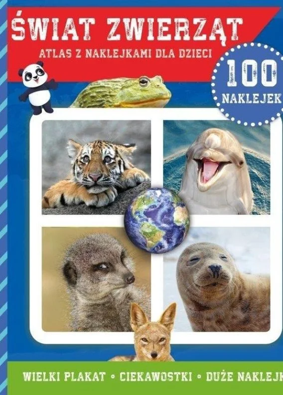 edukamp-420260613202234319479