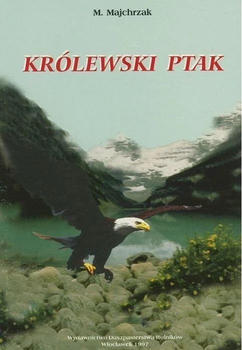 edukamp-420260614034549369629