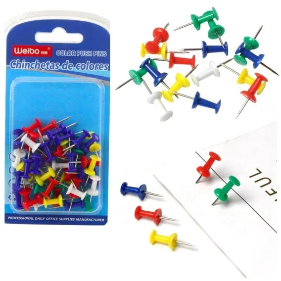 edukamp-420260614092631386577