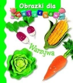 edukamp-420260614100246388194