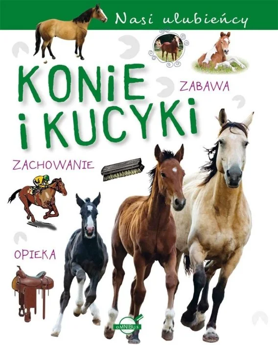 edukamp-420260614101205388607