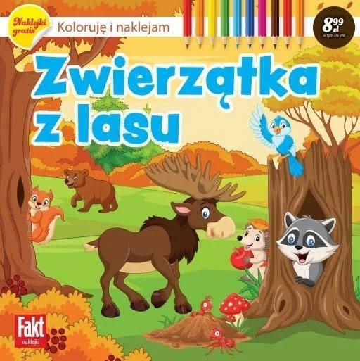 edukamp-420260614205248474069