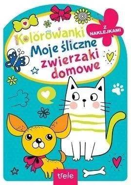 edukamp-420260614231350487365