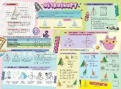 edukamp-420260614233258488340