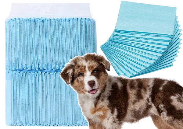 leantoys2026061112390711131